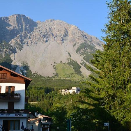 Albergo - B&B Alpina Premadio المظهر الخارجي الصورة
