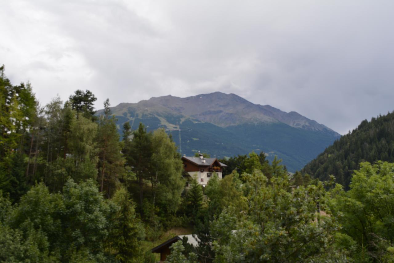 Albergo - B&B Alpina Premadio المظهر الخارجي الصورة
